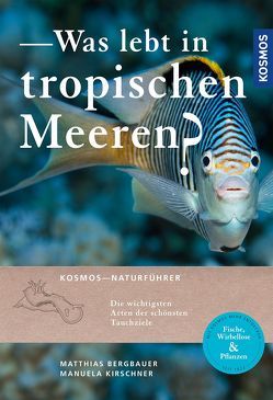 Was lebt in tropischen Meeren? von Bergbauer,  Matthias, Kirschner,  Manuela