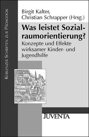 Was leistet Sozialraumorientierung? von Kalter,  Birgit, Schrapper,  Christian