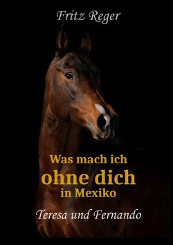 Was mach ich ohne Dich in Mexiko von Reger,  Fritz