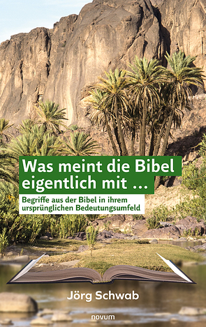 Was meint die Bibel eigentlich mit … von Schwab,  Jörg