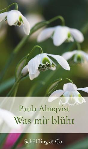 Was mir blüht von Almqvist,  Paula