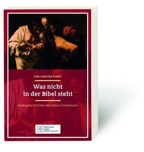 Was nicht in der Bibel steht von Plisch,  Uwe-Karsten