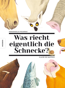 Was riecht eigentlich die Schnecke? von de Gastold,  Claire, Figueras,  Emmanuelle, Orth,  Jutta