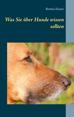 Was Sie über Hunde wissen sollten von Küster,  Bettina