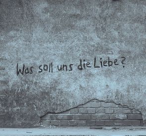 Was soll uns die Liebe von Bayer,  Thommie, Fried,  Erich, Köhler,  Ingrid, Schaefer,  Volker, Seitz,  Wolfgang