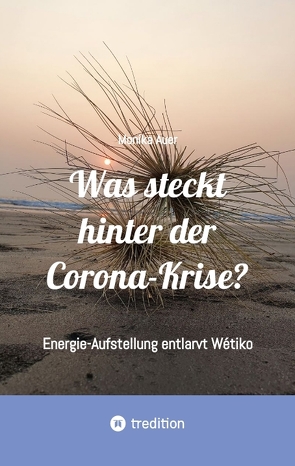 Was steckt hinter der Corona-Krise? von Auer,  Monika