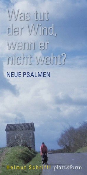 Was tut der Wind, wenn er nicht weht? von Schriffl,  Helmut