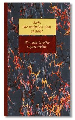 Was uns Goethe sagen wollte von Steinpach,  Richard