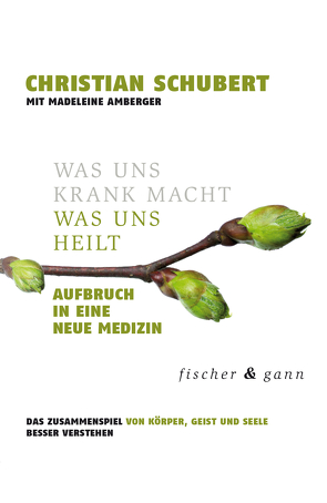 Was uns krank macht – Was uns heilt von Amberger,  Madeleine, Schubert,  Christian