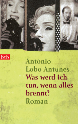 Was werd ich tun, wenn alles brennt? von Lobo Antunes,  António, Meyer-Minnemann,  Maralde