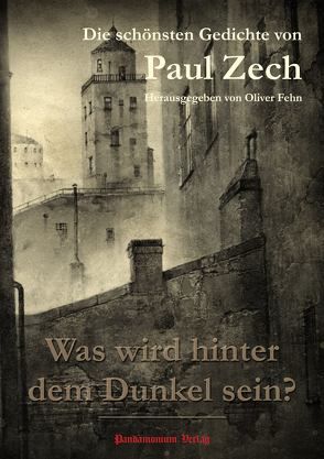 Was wird hinter dem Dunkel sein? von Zech,  Paul