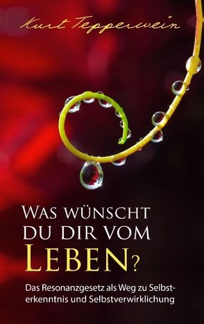 Was wünscht du dir vom Leben? von Tepperwein,  Kurt