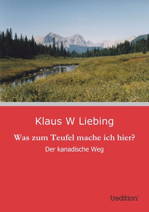 Was zum Teufel mache ich hier? von Liebing,  Klaus W.