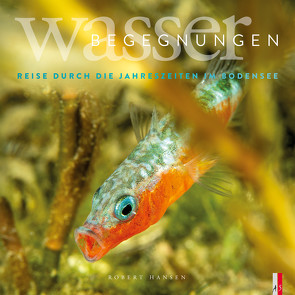 Wasser Begegnungen von Hansen,  Robert