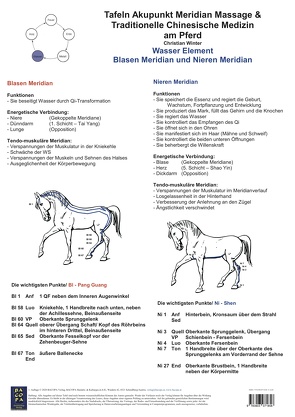 Wasser Element. Blasen und Nieren Meridian. von Winter,  Christian