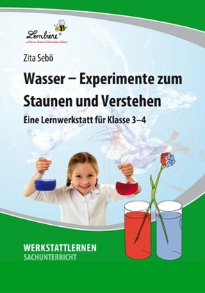 Wasser – Experimente zum Staunen und Verstehen von Chocano,  Zita