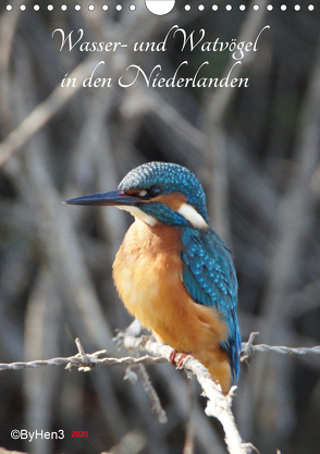 Wasser- und Watvögel in den Niederlanden (Wandkalender 2020 DIN A4 hoch) von Hen3NatureFreak