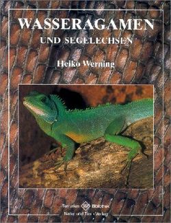 Wasseragamen und Segelechsen von Werning,  Heiko