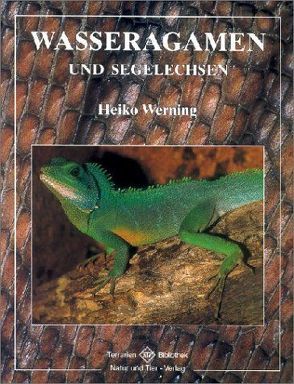 Wasseragamen und Segelechsen von Werning,  Heiko