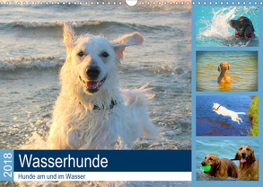 Wasserhunde 2018. Hunde am und im Wasser (Wandkalender 2020 DIN A3 quer) von Lehmann (Hrsg.),  Steffani