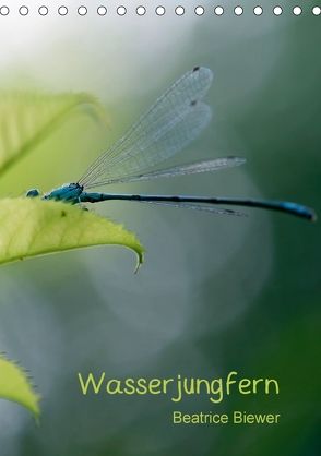 Wasserjungfern (Tischkalender 2018 DIN A5 hoch) von Biewer,  Beatrice