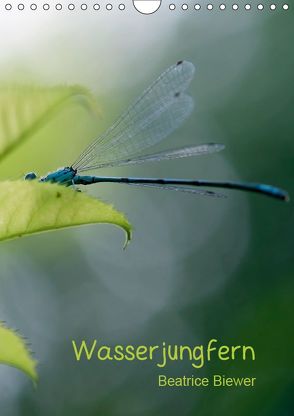 Wasserjungfern (Wandkalender 2019 DIN A4 hoch) von Biewer,  Beatrice