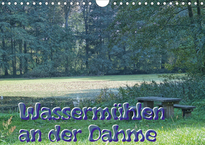 Wassermühlen an der Dahme (Wandkalender 2021 DIN A4 quer) von Morgenroth,  Peter