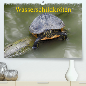 Wasserschildkröten (Premium, hochwertiger DIN A2 Wandkalender 2023, Kunstdruck in Hochglanz) von Kretschmann,  Klaudia