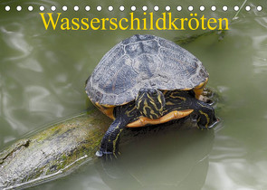 Wasserschildkröten (Tischkalender 2023 DIN A5 quer) von Kretschmann,  Klaudia