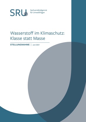 Wasserstoff im Klimaschutz: Klasse statt Masse