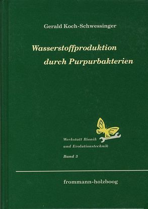 Wasserstoffproduktion durch Purpurbakterien von Koch-Schwessinger,  Gerald