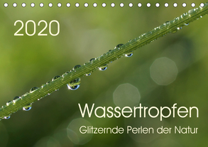 Wassertropfen – glitzernde Perlen der Natur (Tischkalender 2020 DIN A5 quer) von Enkemeier,  Sigrid