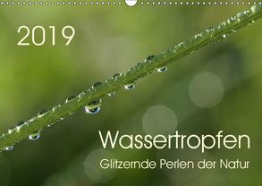 Wassertropfen – glitzernde Perlen der Natur (Wandkalender 2019 DIN A3 quer) von Enkemeier,  Sigrid