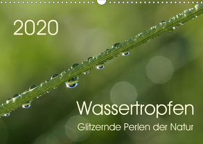 Wassertropfen – glitzernde Perlen der Natur (Wandkalender 2020 DIN A3 quer) von Enkemeier,  Sigrid