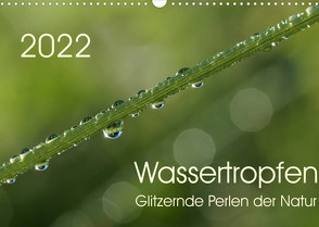 Wassertropfen – glitzernde Perlen der Natur (Wandkalender 2022 DIN A3 quer) von Enkemeier,  Sigrid