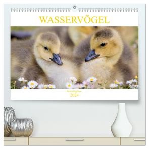 Wasservögel – Kanadagänse (hochwertiger Premium Wandkalender 2024 DIN A2 quer), Kunstdruck in Hochglanz von pixs:sell,  pixs:sell