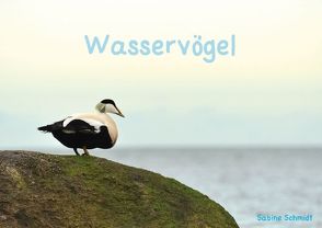 Wasservögel (Posterbuch DIN A3 quer) von Schmidt,  Sabine