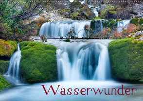 Wasserwunder (Wandkalender 2020 DIN A2 quer) von Thoma,  Herbert