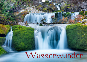 Wasserwunder (Wandkalender 2020 DIN A3 quer) von Thoma,  Herbert