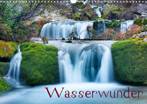 Wasserwunder (Wandkalender 2022 DIN A3 quer) von Thoma,  Herbert