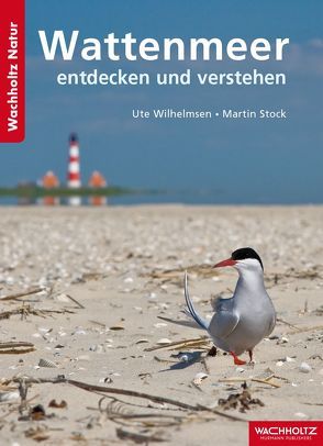 Wattenmeer entdecken und verstehen von Stock,  Martin, Wilhelmsen,  Ute