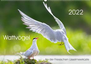 Wattvögel an der Friesischen IJsselmeerküste (Wandkalender 2022 DIN A2 quer) von Will,  Thomas