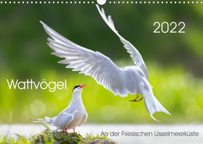 Wattvögel an der Friesischen IJsselmeerküste (Wandkalender 2022 DIN A3 quer) von Will,  Thomas