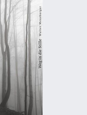 Weg in die Stille von Meusburger1,  Walter