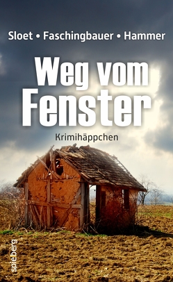 Weg vom Fenster von Faschingbauer,  Manfred, Hammer,  Wolfgang, Sloet,  Rolf Peter