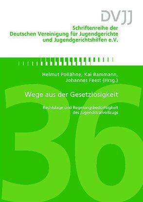 Wege aus der Gesetzlosigkeit von Bammann,  Kai, Feest,  Johannes, Pollähne,  Helmut