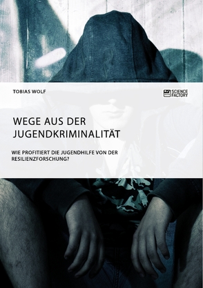 Wege aus der Jugendkriminalität. Wie profitiert die Jugendhilfe von der Resilienzforschung? von Wolf,  Tobias