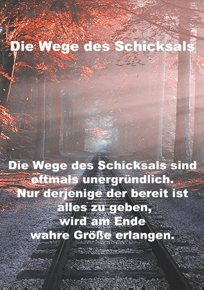 Wege des Schicksals von Nöst,  Sara