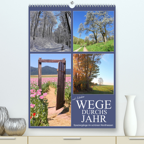 Wege durchs Jahr – Spaziergänge im schönen Nordhessen (Premium, hochwertiger DIN A2 Wandkalender 2023, Kunstdruck in Hochglanz) von Löwer,  Sabine