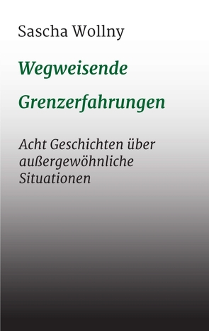 Wegweisende Grenzerfahrungen von Wollny,  Sascha